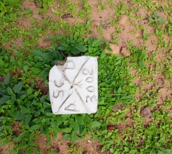 LAND PROPERTY FOR SAL